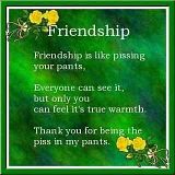 FRIENDSHIP.jpg image by irisruby